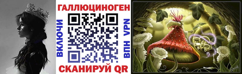Псилоцибиновые грибы Psilocybe  купить закладку  KRAKEN онион  Аша 