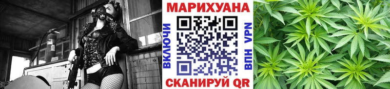Конопля ГИДРОПОН Аша